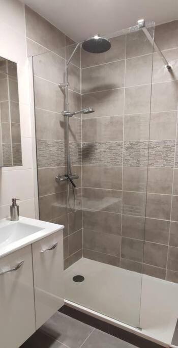 Logement 5 Personnes Proche Cv Et Parking Prive Apartment Saint-Etienne  Exterior photo